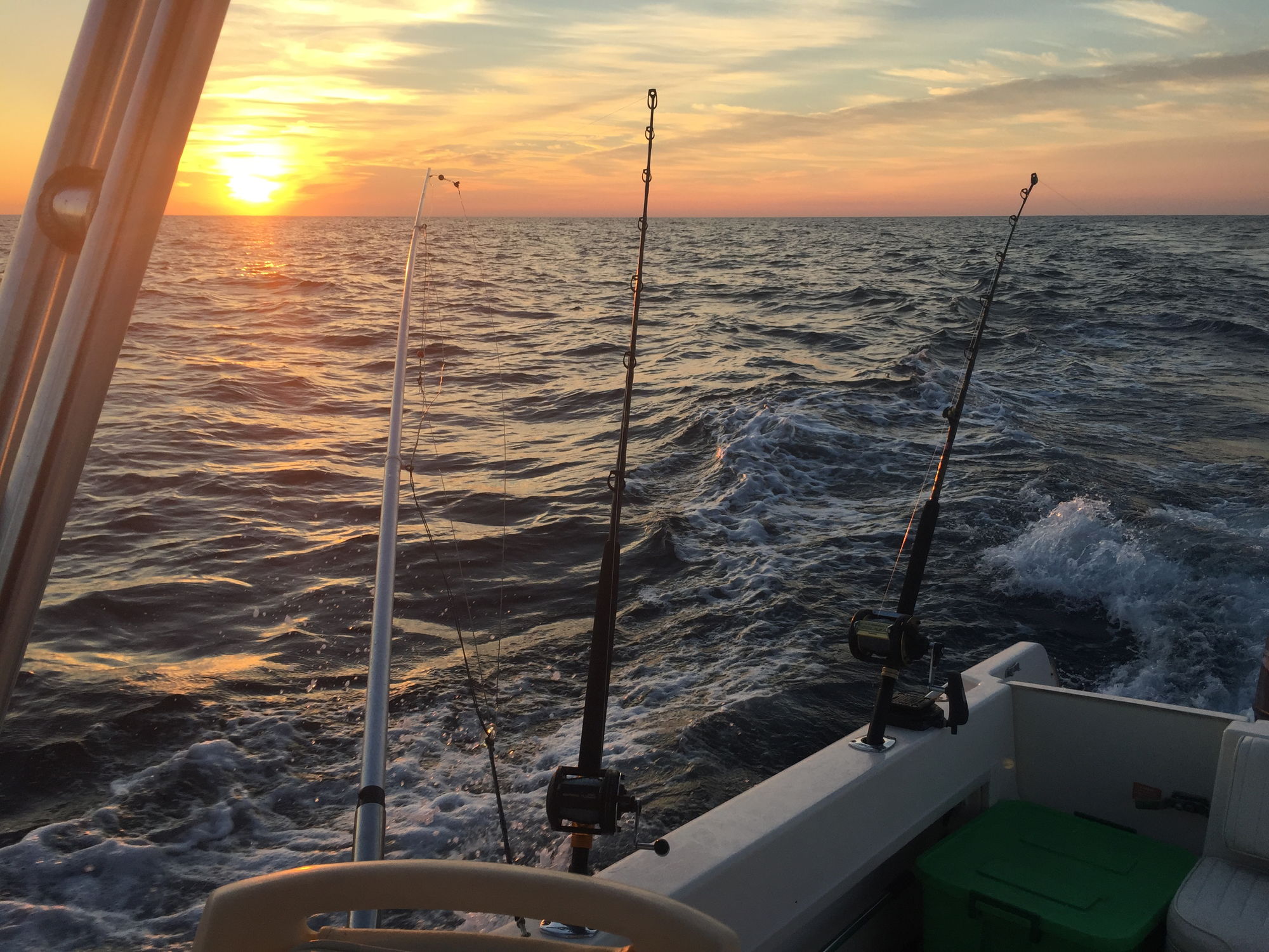 What rod holders for trolling and how to mount them - The Hull Truth -  Boating and Fishing Forum