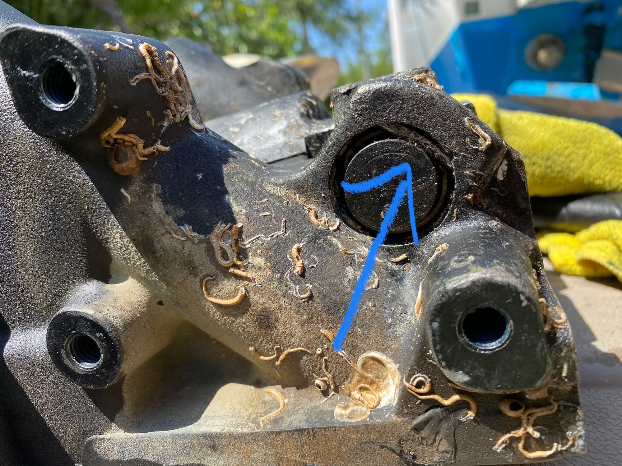 Mercury trim tilt shaft removal The Hull Truth Boating and Fishing Forum