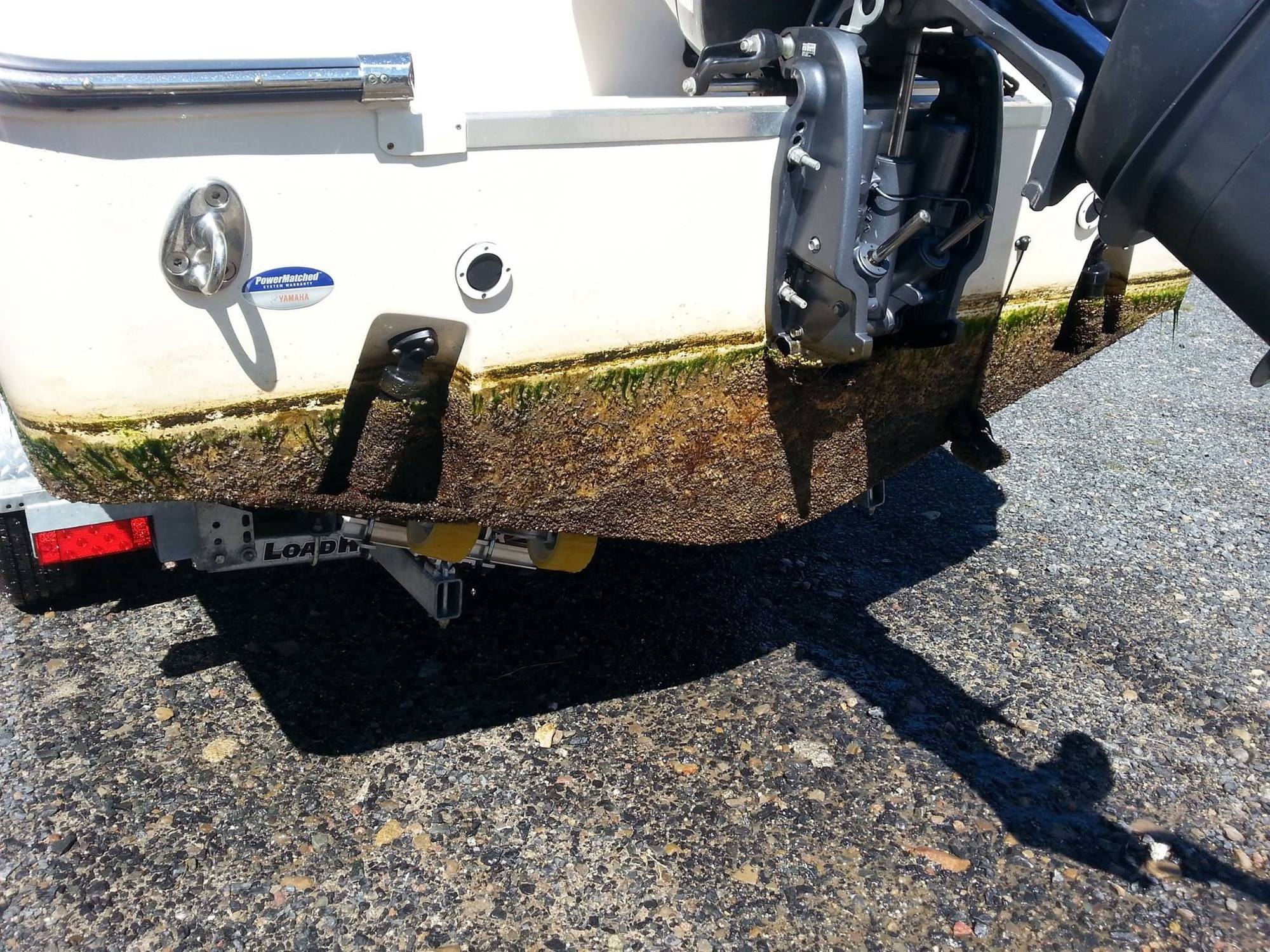 Alternatives to Bottom Paint The Hull Truth Boating and Fishing Forum