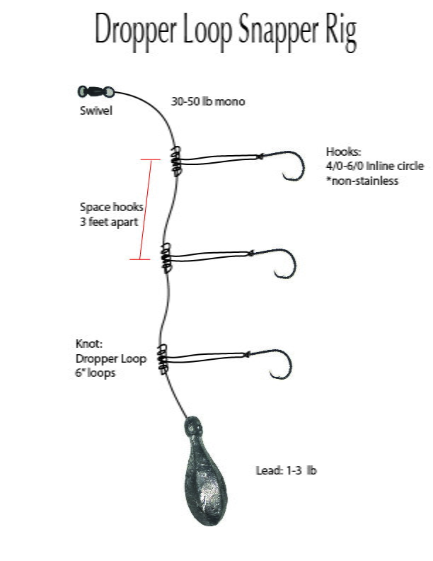 Best/economical chicken rig for snapper/trigger fish? - The Hull