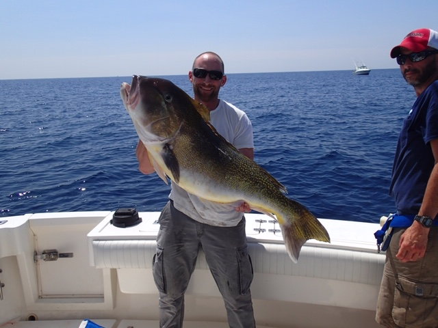 Stretch 25, 30, Mojos - The Hull Truth - Boating and Fishing Forum
