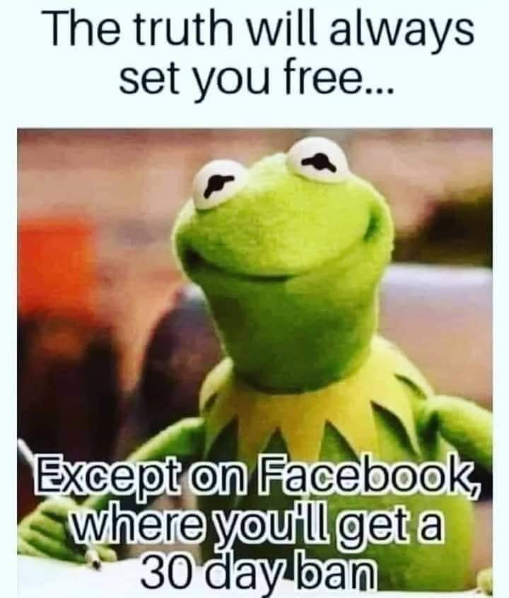 fb_img_1667741978763_1c32c33e034d64e0fe4