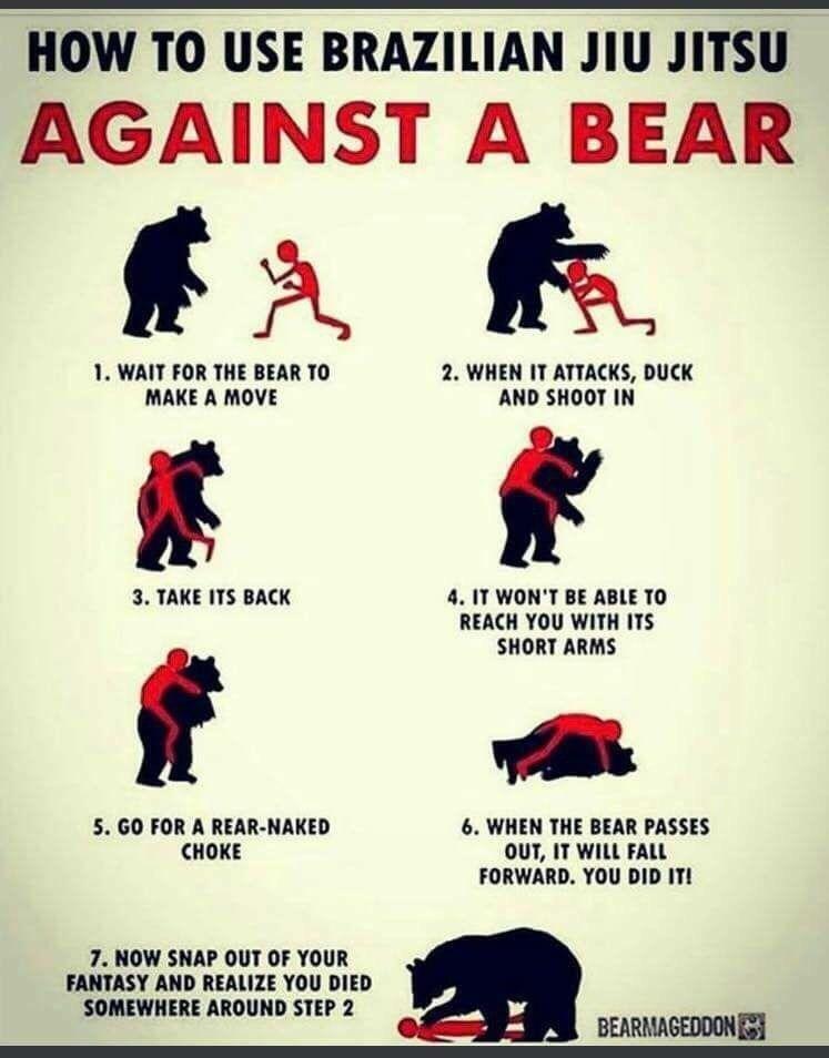 Dealing with bears in close quarters Page 3 The Hull Truth