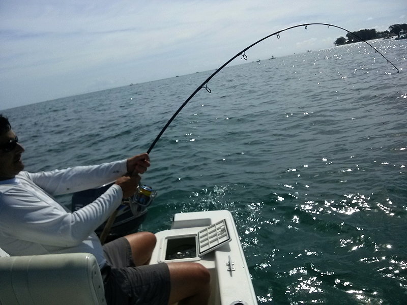 Tarpon Rod - The Hull Truth - Boating and Fishing Forum