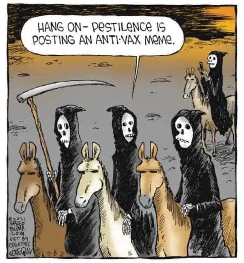 img_20210715_wa0006_a25e26bd1828cab358a3