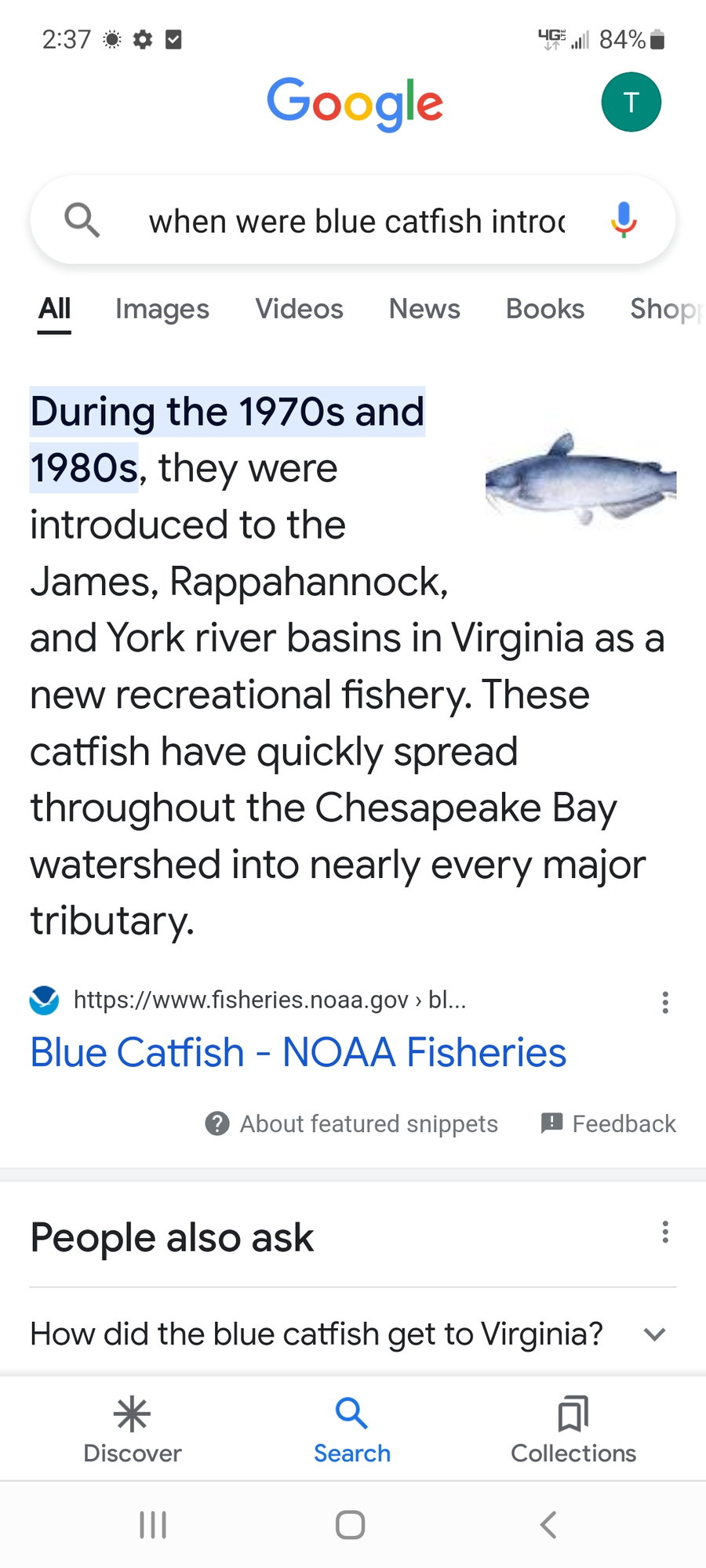 Eating Blue Catfish - Page 2 - The Hull Truth - Boating and Fishing Forum