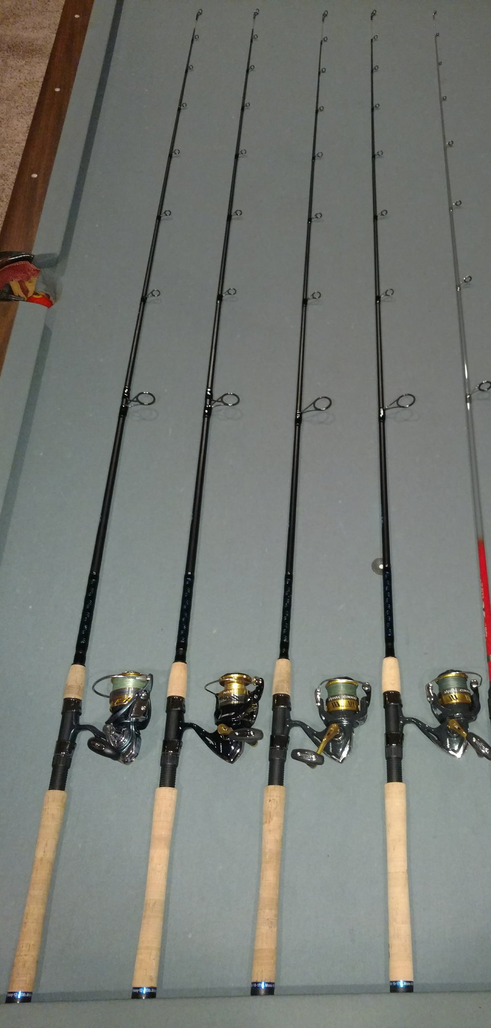 Daiwa Aird Coastal Inshore Series Saltwater Fishing Rod