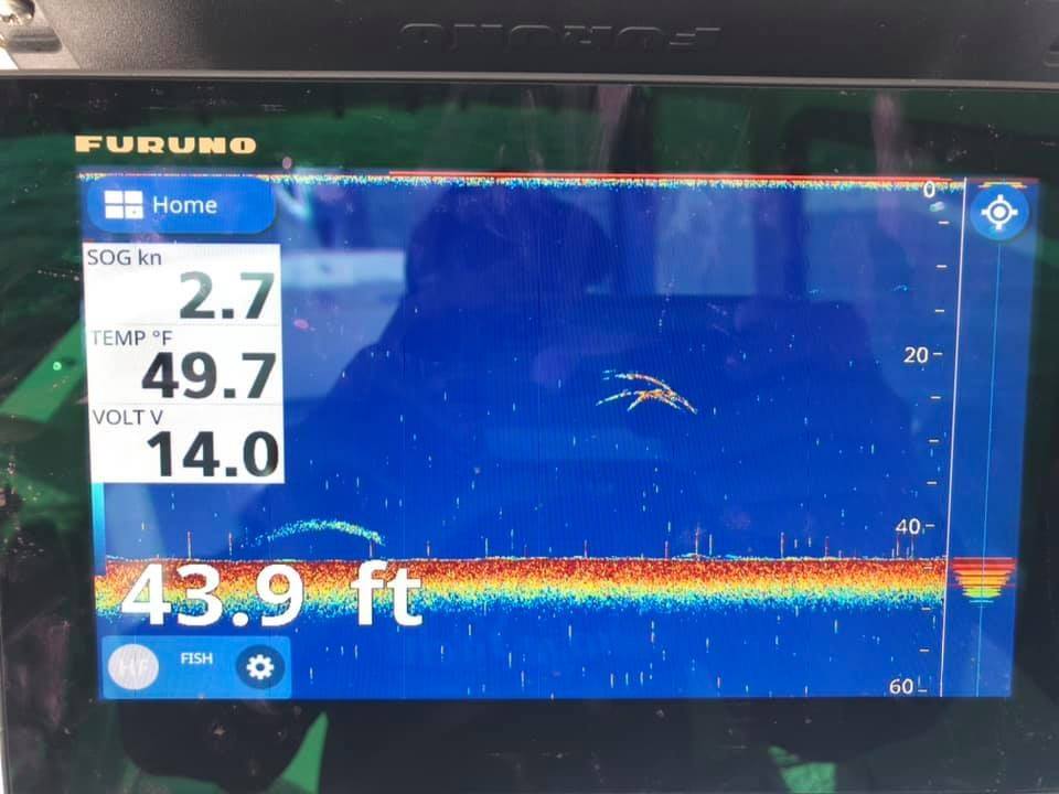 Chirp VS Non Chirp. The Hull Truth Boating and Fishing Forum