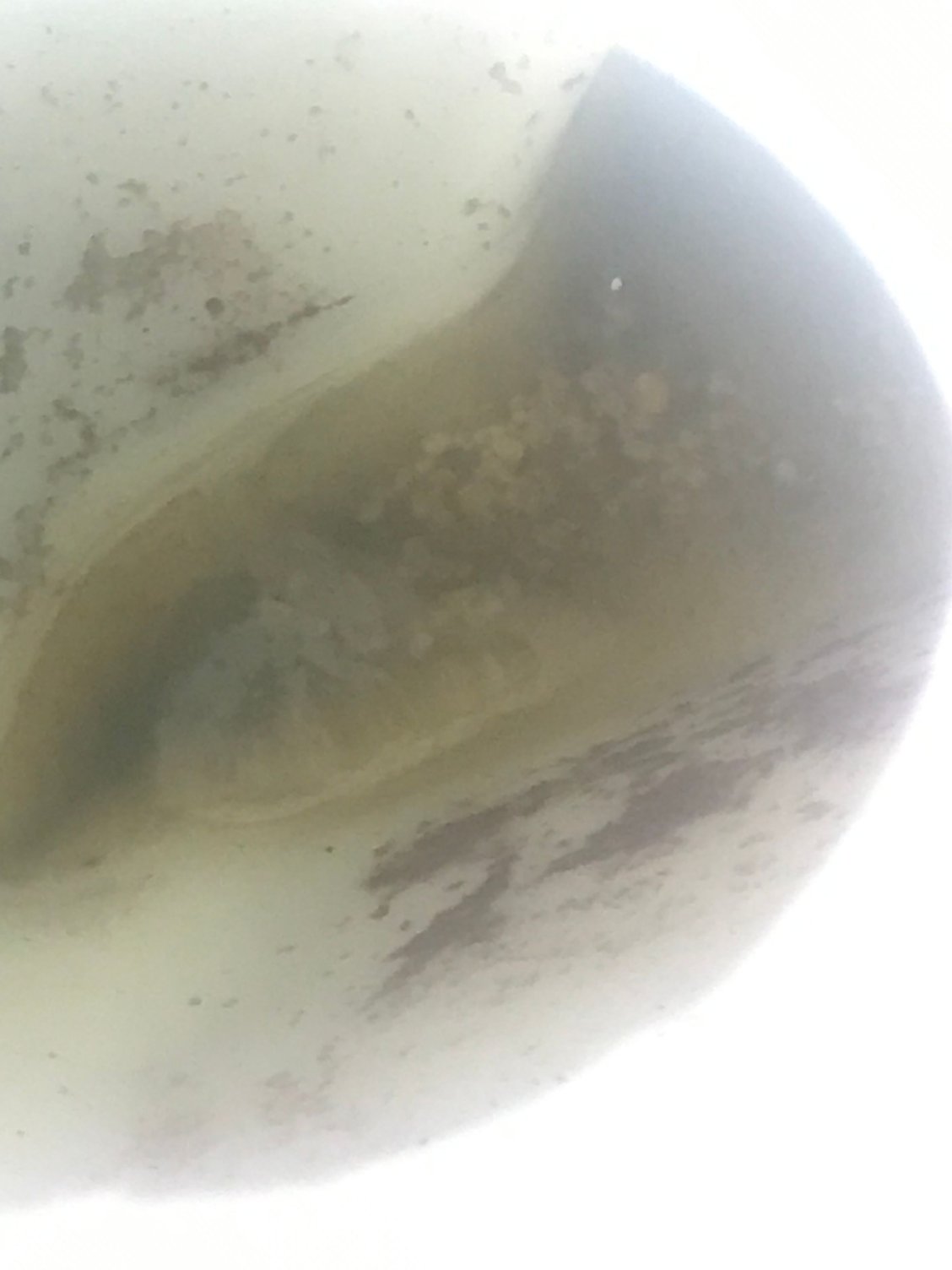 Engine coolant disappearing with no leaks Third Generation FBody