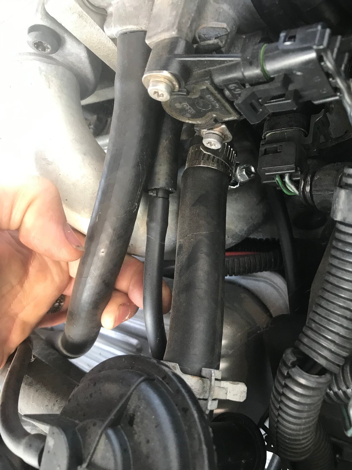 Evap system hoses Third Generation FBody Message Boards