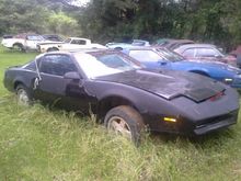 83 Trans Am