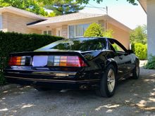 Just out of hibernation after 25years
