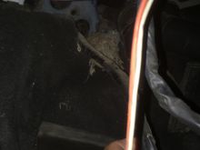 Tube that I’m talking about 