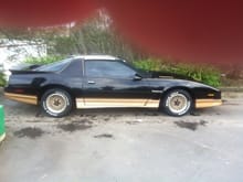 1986 Trans Am. She looks very smart!