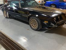 1979 Trans Am.  56,000 miles.  