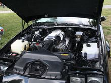 Camaro Fest Kansas City 2016