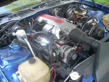 Engine Bay with a 350 beast!