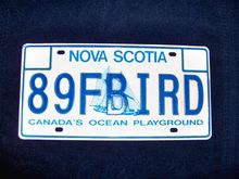 My new plate!