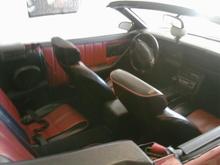 Buckskin Interior