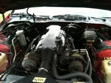 305 tpi
