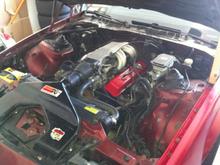 Just a little elbow grease, long way to go!