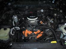 Firebird Formula