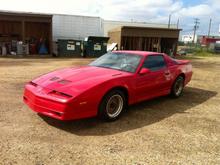 1988 trans am GTA , I'm the second owner and everything is still all orginal!