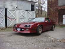 The whip