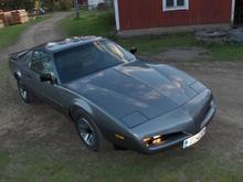 Firebird