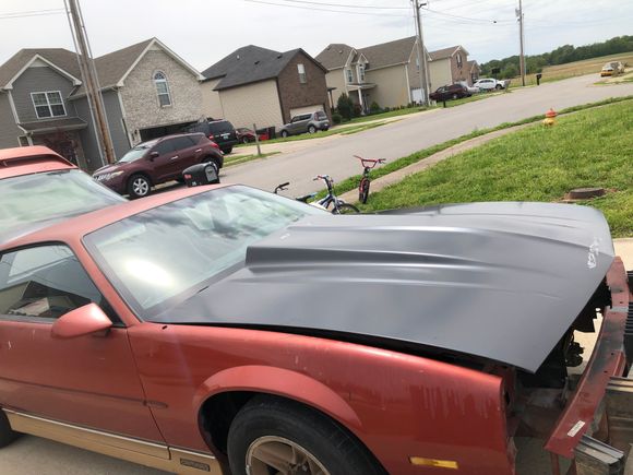 I actually put the hood on by myself, I need more car friends that like drinking beer working on cars. 