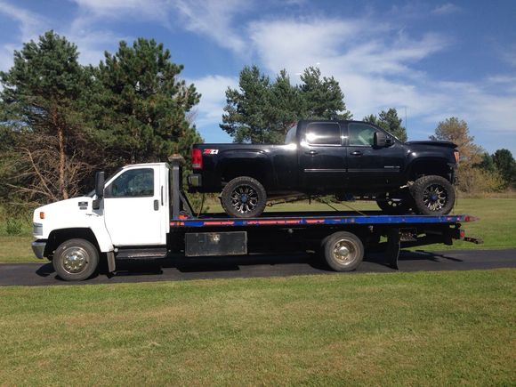 Day we picked her up