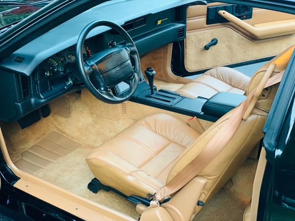 “RARE” Beechwood color interior