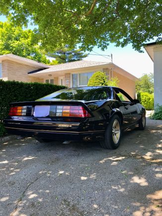 Just out of hibernation after 25years
