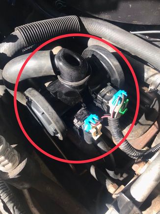 It had a square cover over it, making it look like Princess Leia with a square head. 