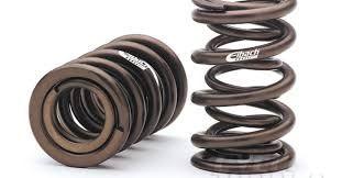 dual valve spring