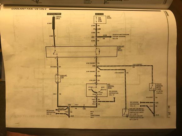 The coolant fan switch is a DK Green/white wire. 
