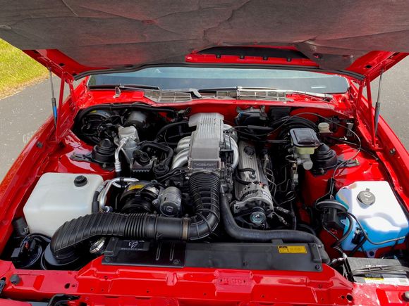 Original engine removed, cleaned and painted in 2021