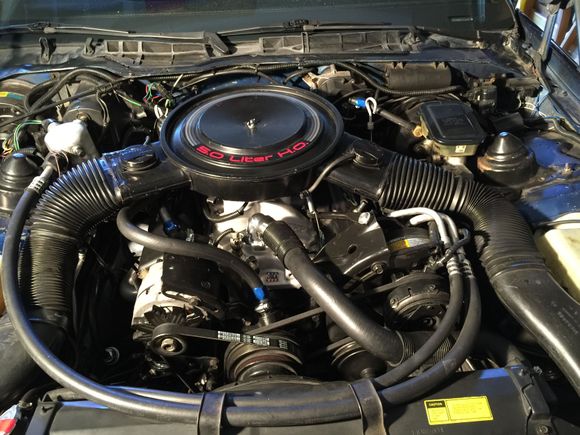 July 2015 swap in a 350 Chevy crate motor