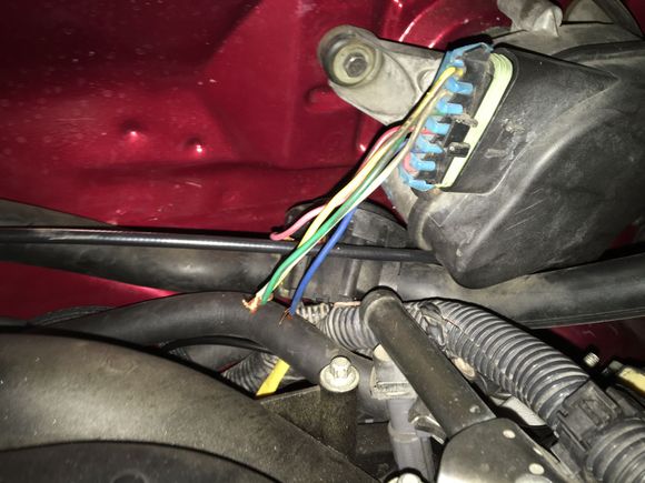 I will further hide it with conduit on the wiper motor wires.
