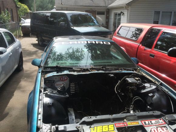 305 ripped from its mother