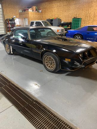 1979 Trans Am.  56,000 miles.  