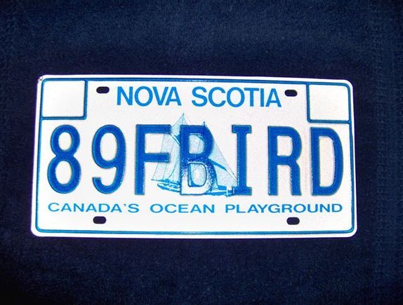 My new plate!