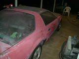 th DSC01553