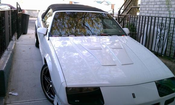 love seeing her in my driveway