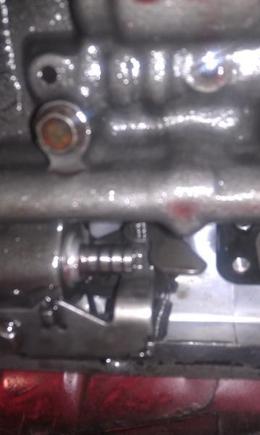 IMAG0422