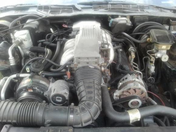 Motor