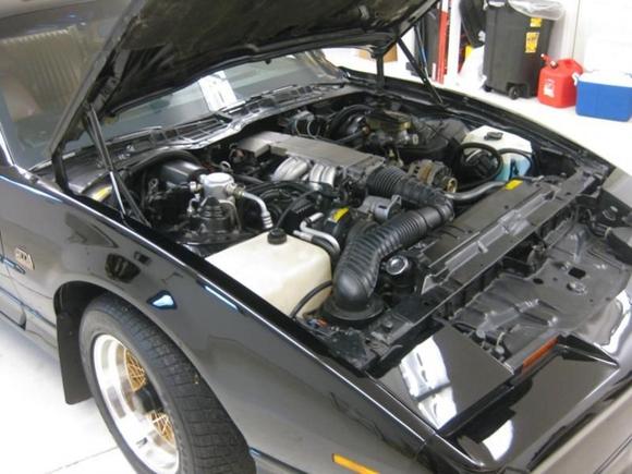 Stock L98