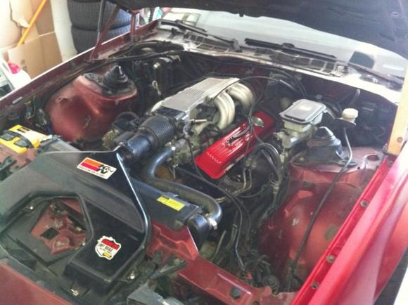 Just a little elbow grease, long way to go!