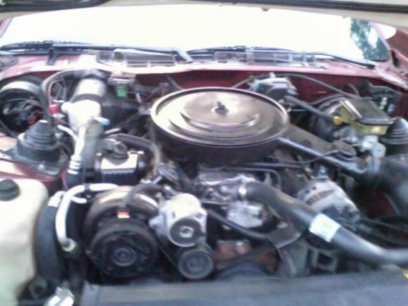 Picture isnt the best, was just a quik picture to show a buddy, stupid phones with such sensitive movement... but 305 tbi with 185k miles, sounds and runs well, so far =/