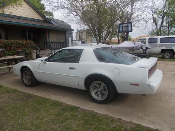 Firebird